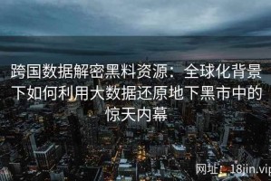 跨国数据解密黑料资源：全球化背景下如何利用大数据还原地下黑市中的惊天内幕