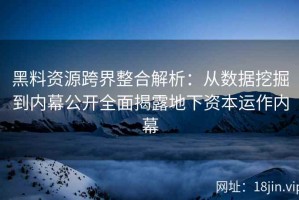 黑料资源跨界整合解析：从数据挖掘到内幕公开全面揭露地下资本运作内幕