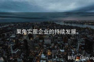 果角实现企业的持续发展。