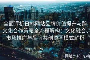 全面评析日韩网站品牌价值提升与跨文化合作策略全流程解构：文化融合、市场推广与品牌共创协同模式解析