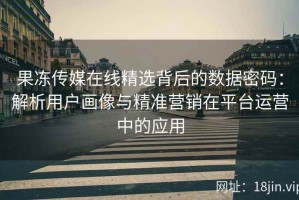 果冻传媒在线精选背后的数据密码：解析用户画像与精准营销在平台运营中的应用