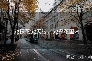 5g探花5g天线，5g探花国内