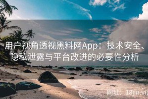 用户视角透视黑料网App：技术安全、隐私泄露与平台改进的必要性分析
