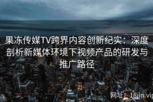 果冻传媒TV跨界内容创新纪实：深度剖析新媒体环境下视频产品的研发与推广路径