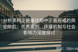 分析黑料正能量往期中正面报道的舆论效应：优秀案例、传播机制与社会影响力深度探讨